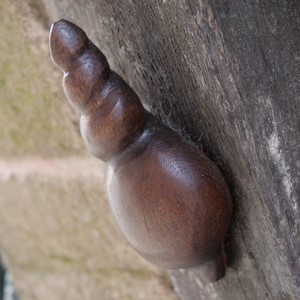 Elément de châssis en bois  en forme de coquillage - France  - collection de photos clin d'oeil, catégorie clindoeil